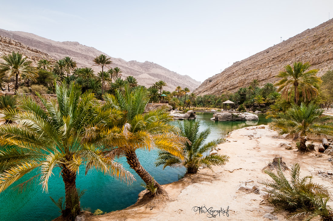 Sultanat d’Oman #3 : l’eau et les Wadis