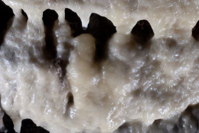 La beauté des concrétions La beauté des concrétions