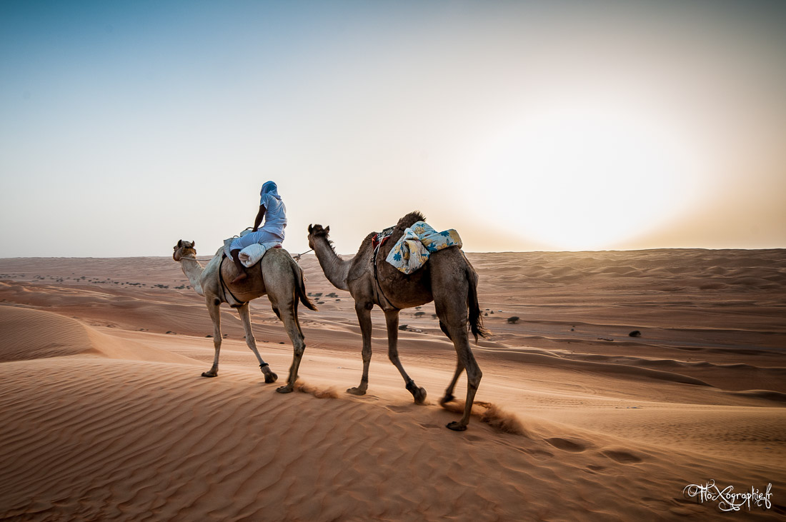 Sultanat d’Oman #2 : Wahiba, le désert de sable