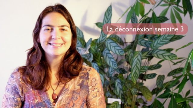 La Déconnexion Multipotentielle en 10 semaines en vidéo ! La Déconnexion Multipotentielle en 10 semaines en vidéo !