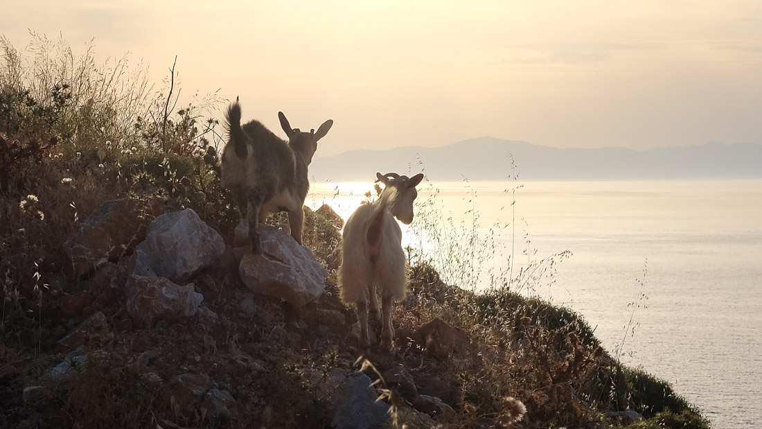 Amorgos #2 – le Lien : la traversée d’une île enchanteresse