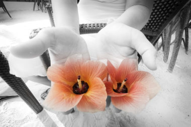 Mains tendus tenant chacune une fleur d'Hibiscus