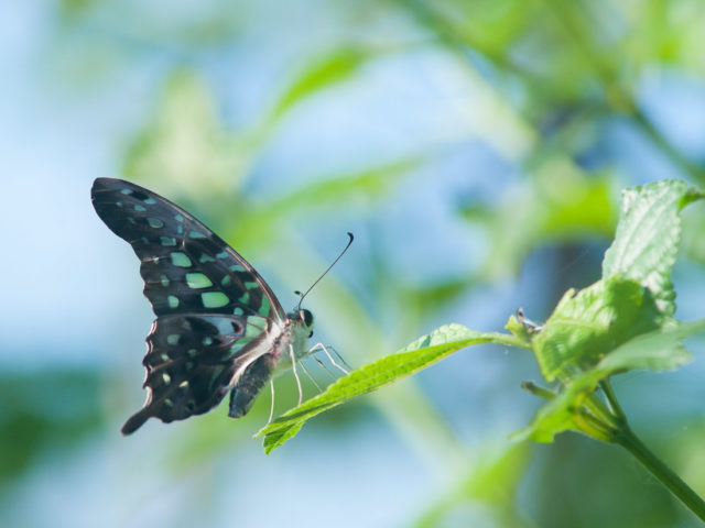 8 étapes pour garder le cap et accepter la transformation dans les périodes bouleversantes 8 étapes pour garder le cap et accepter la transformation dans les périodes bouleversantes