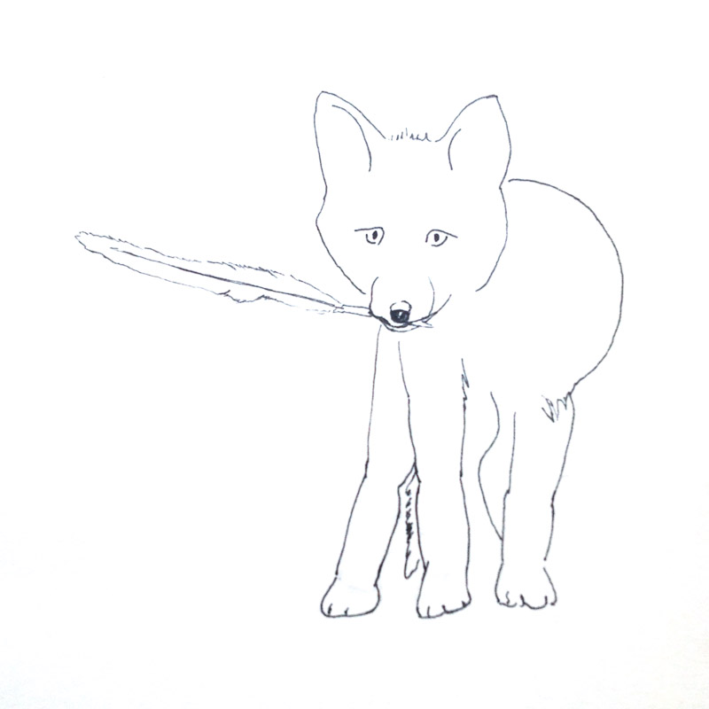 Dessin de renard tenant une plume