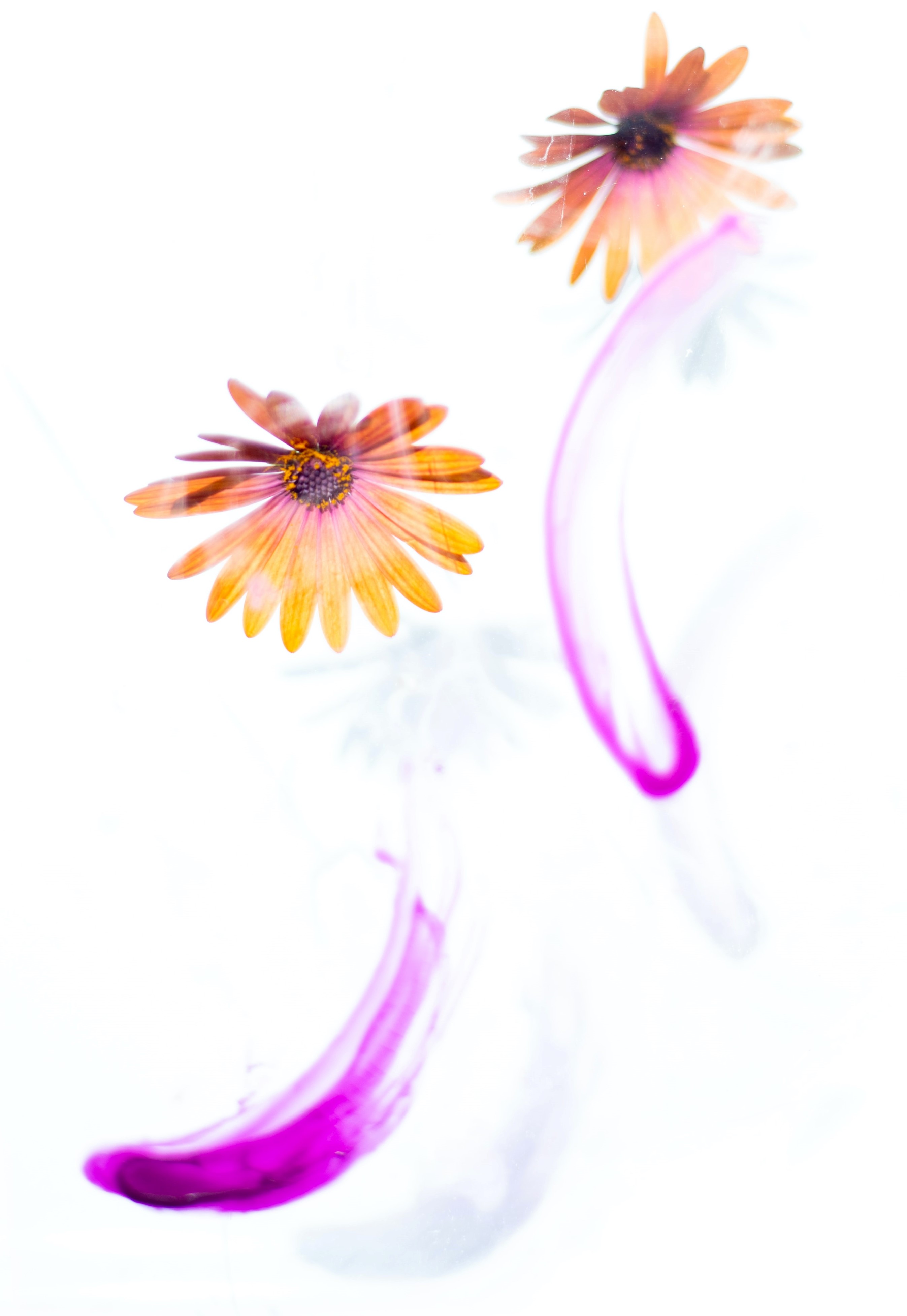 methode-fleur