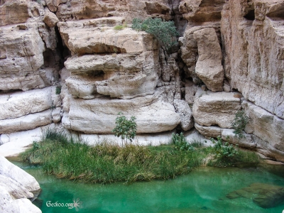 Wadi Shaab - point d'eau