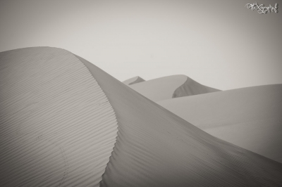 Les dunes de Wahiba Sands