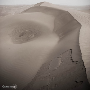 Les dunes de Wahiba Sands