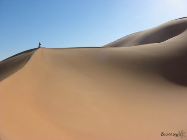 Les dunes de l